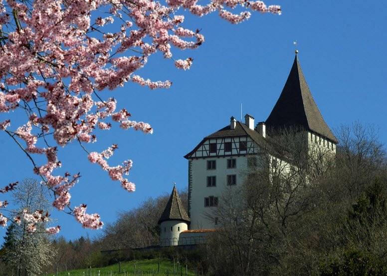 Schloss Weinfelden, Weinfelden, Switzerland, Switzerland